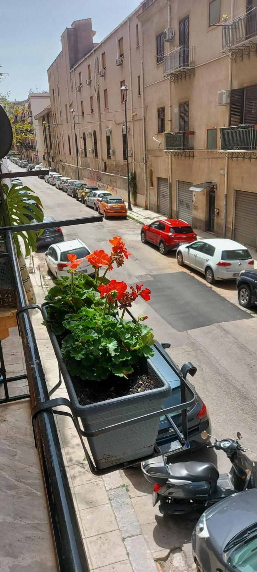 Civico 67 Lägenhet Palermo Exteriör bild